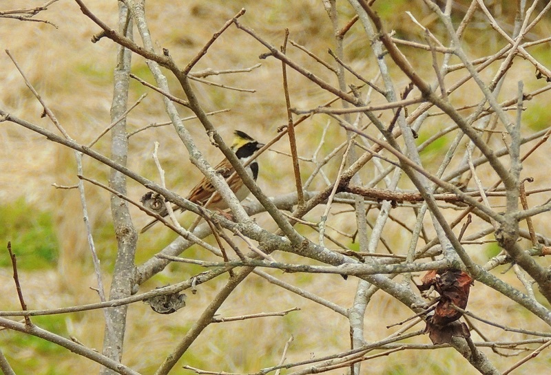 b0288942_014070.jpg
