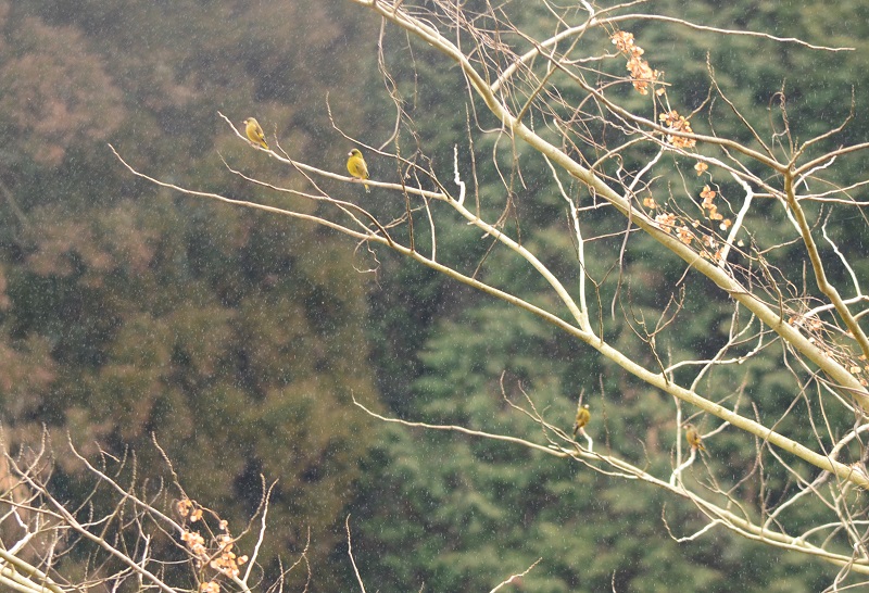 b0288942_0143050.jpg