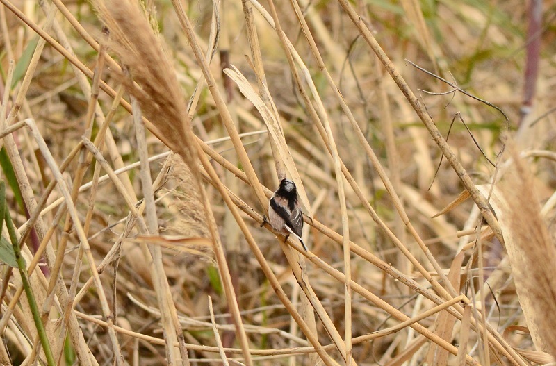 b0288942_0145023.jpg