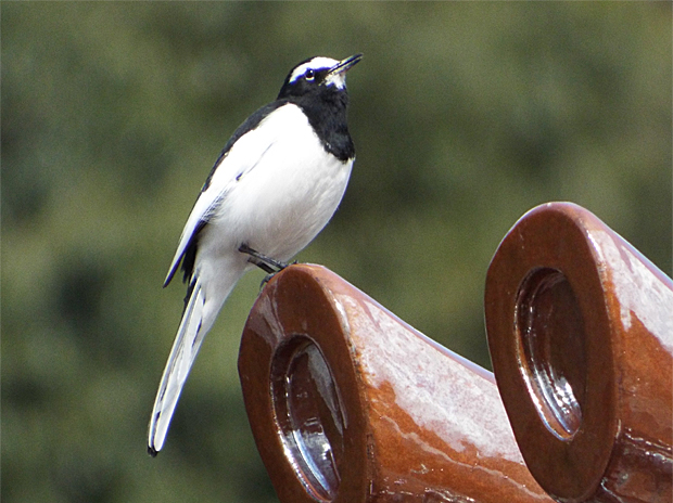 f0214649_521578.jpg