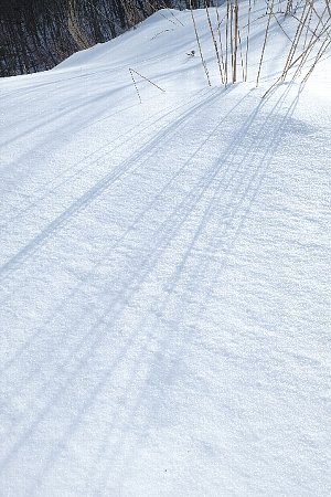 f0035962_951188.jpg