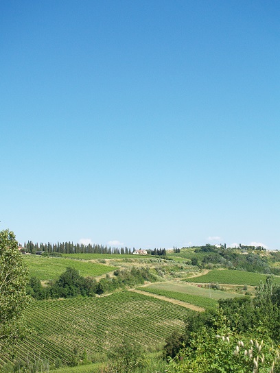 e0078071_1822074.jpg