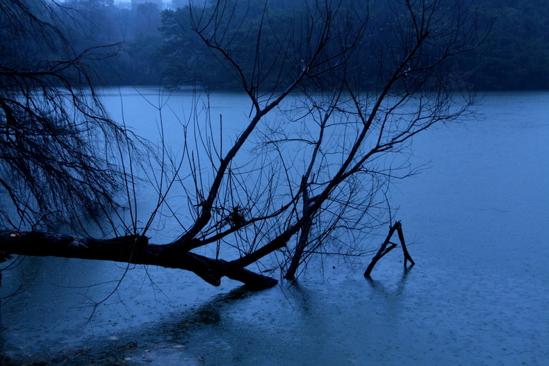 b0093678_2145699.jpg