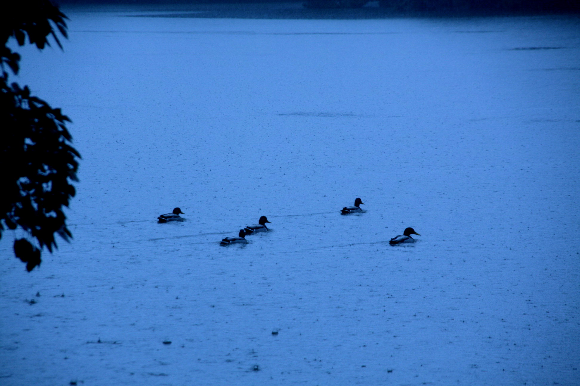 b0093678_2151356.jpg