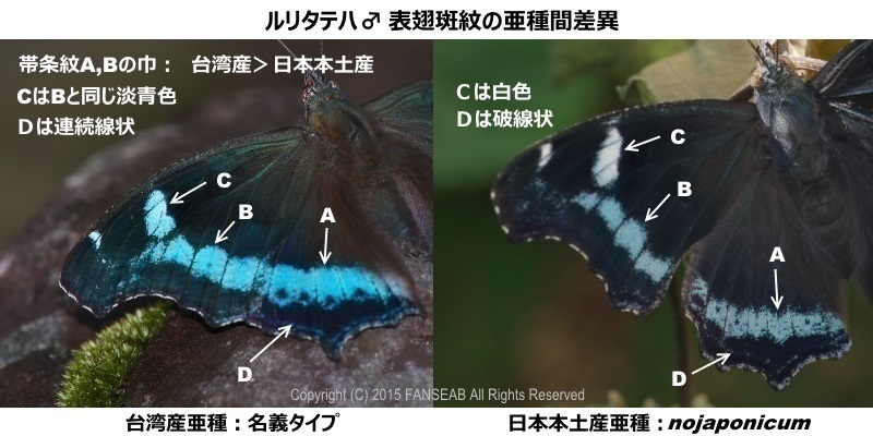 f0090680_1426233.jpg