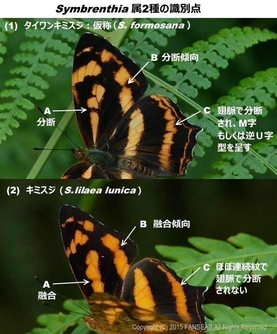 f0090680_14283281.jpg