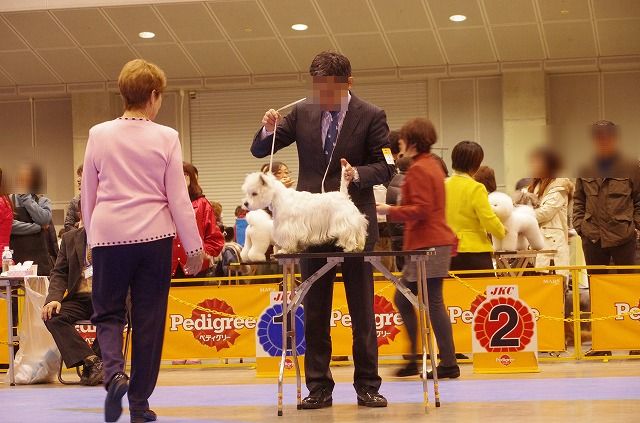 f0169884_15553226.jpg