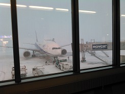 f0069890_2132994.jpg