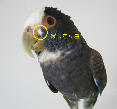 f0234590_9495996.png