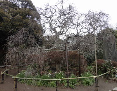 c0122791_1148159.jpg