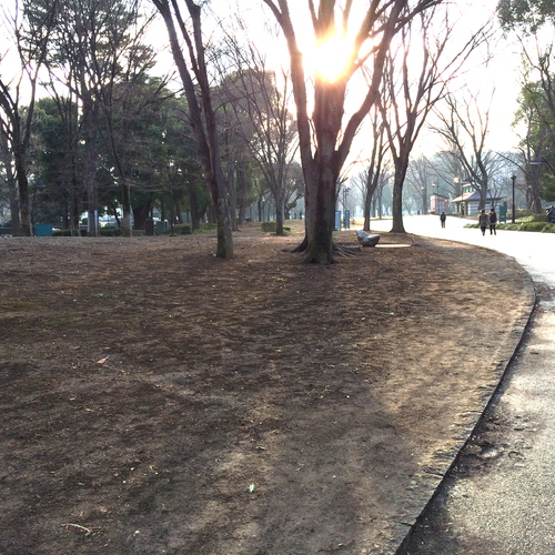 a0326292_12391329.jpg