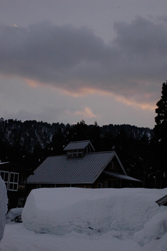 a0061599_783792.jpg