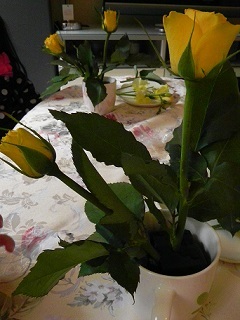 c0152002_18191125.jpg