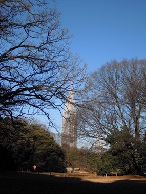 e0206902_1224048.jpg