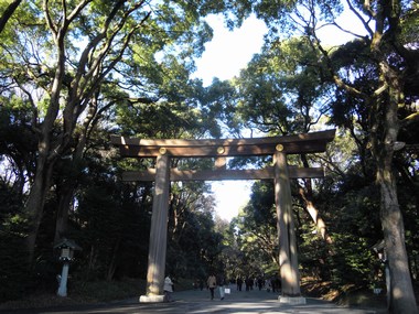 e0206902_192186.jpg