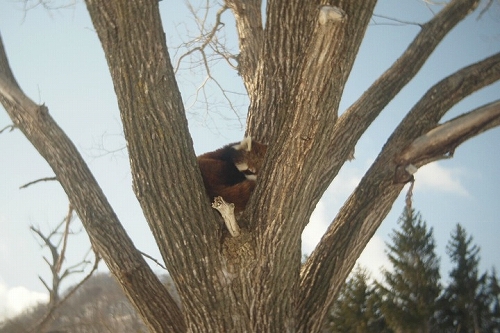 c0202705_17463150.jpg