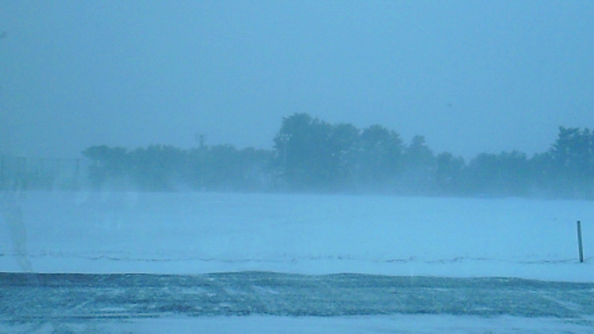 d0149105_1652961.jpg