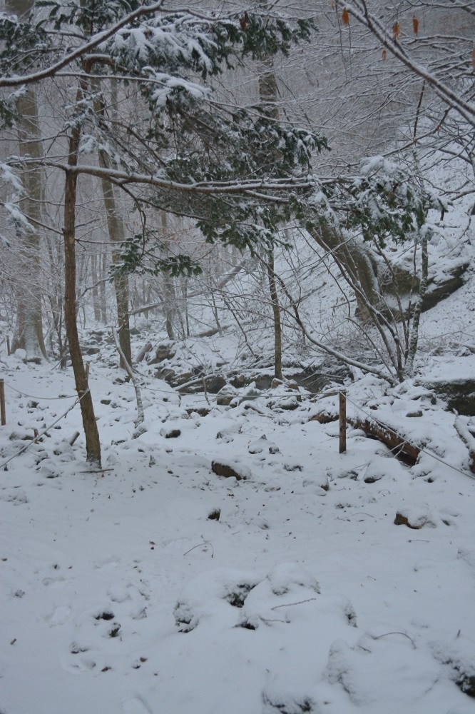 b0277008_8282896.jpg