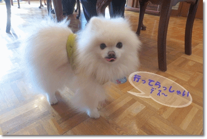 b0167519_1085244.gif