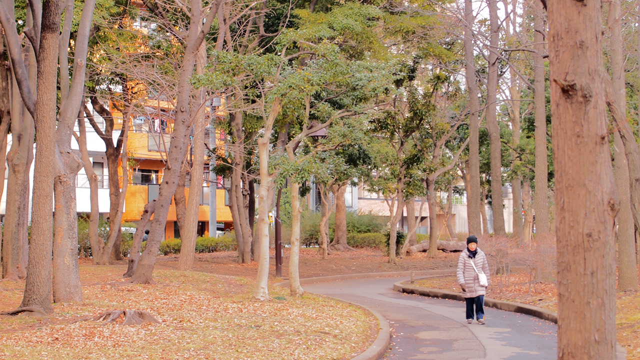 a0214329_6501438.jpg
