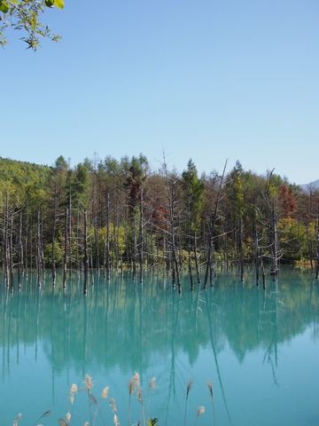 b0042334_23462991.jpg