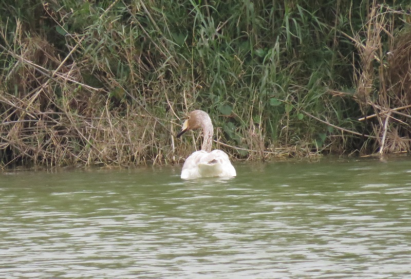 b0288942_9164650.jpg