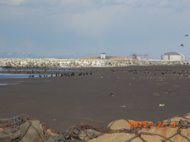 a0157451_205537100.jpg