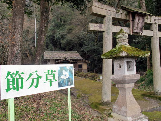 c0147952_21351570.jpg