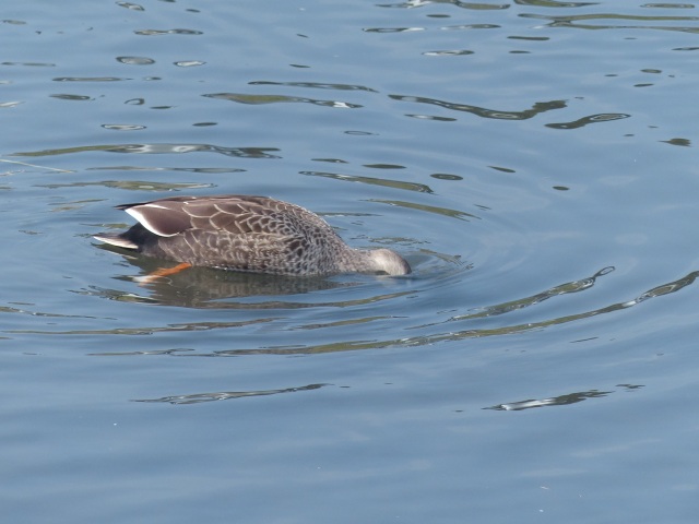 f0357487_22143645.jpg