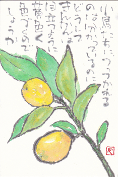 a0030594_0252540.gif
