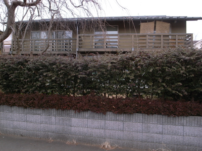 d0075899_1783466.jpg