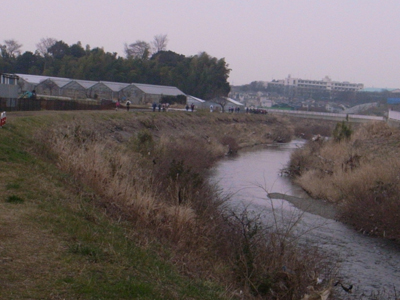 d0075899_1793545.jpg
