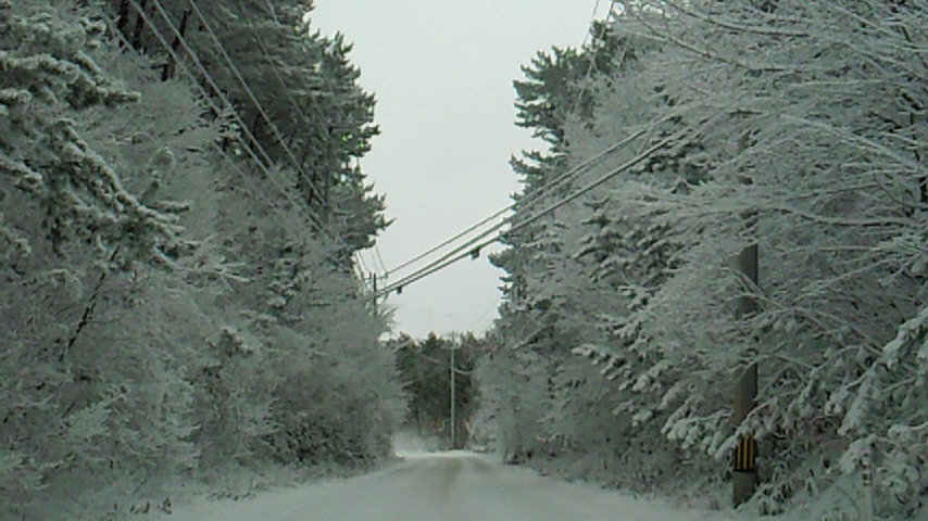d0149105_12361674.jpg