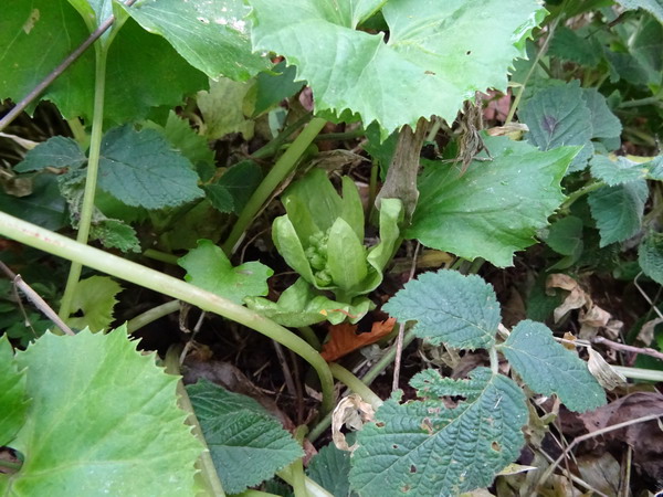 b0052108_035407.jpg
