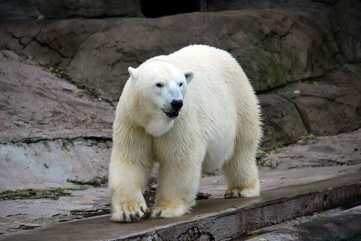 a0151913_22303588.jpg