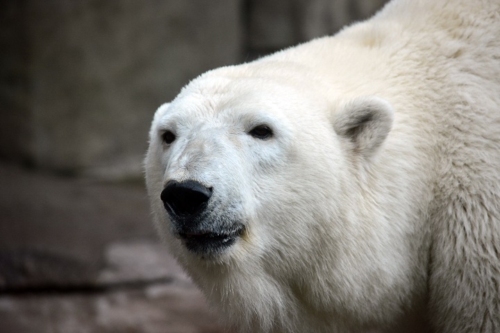 a0151913_2231914.jpg