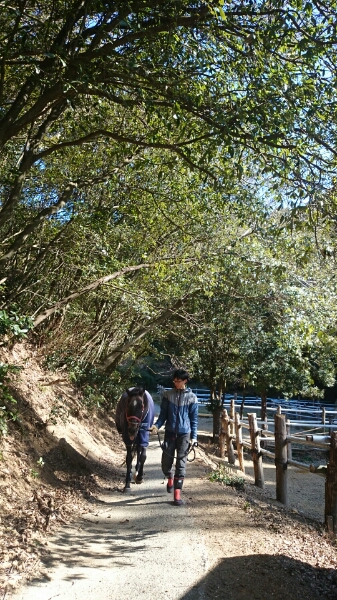 b0187620_2050843.jpg