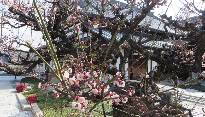 c0280322_16202868.jpg