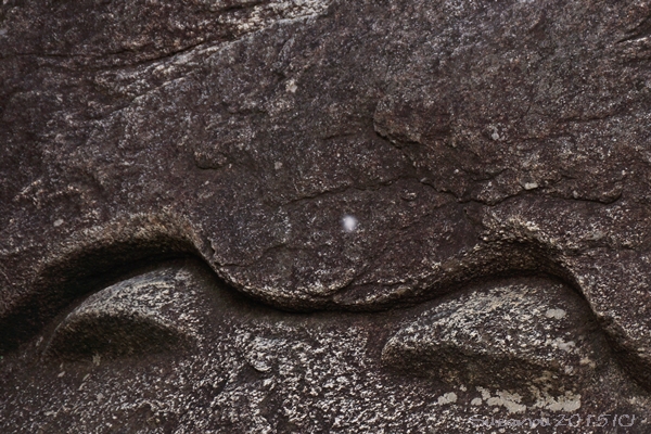 a0212036_9174126.jpg