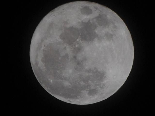 a0048040_21484168.jpg