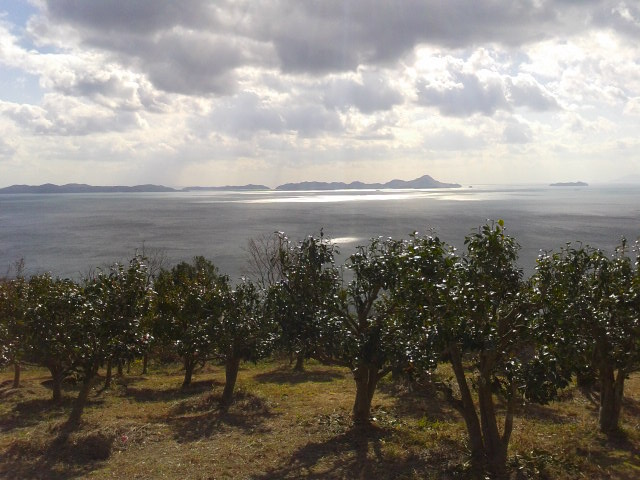 c0214359_22404549.jpg