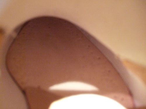 e0072660_1552395.jpg