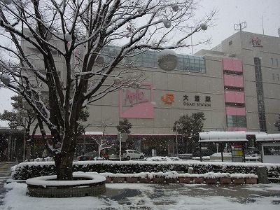 f0106664_15384624.jpg