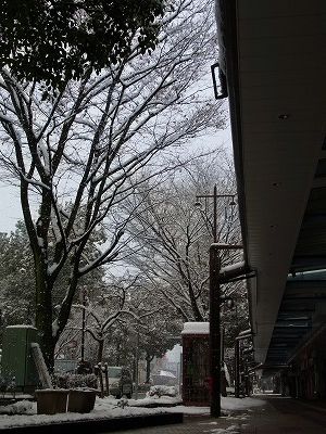 f0106664_15395641.jpg