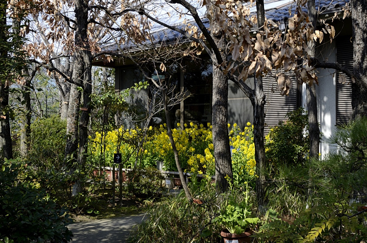 f0108478_1922734.jpg