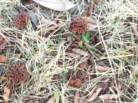 f0351179_12220127.jpg
