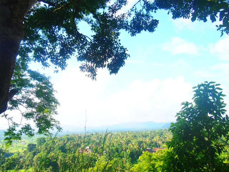 b0161391_11311796.jpg