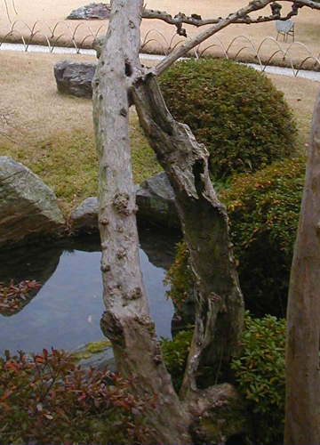 d0053294_1271623.jpg