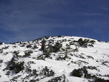 d0032405_21184195.jpg