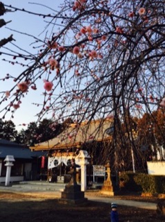 e0019320_18351051.jpg
